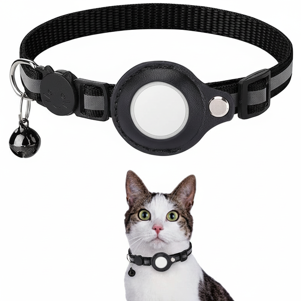 Immagine 1 - senza scritte