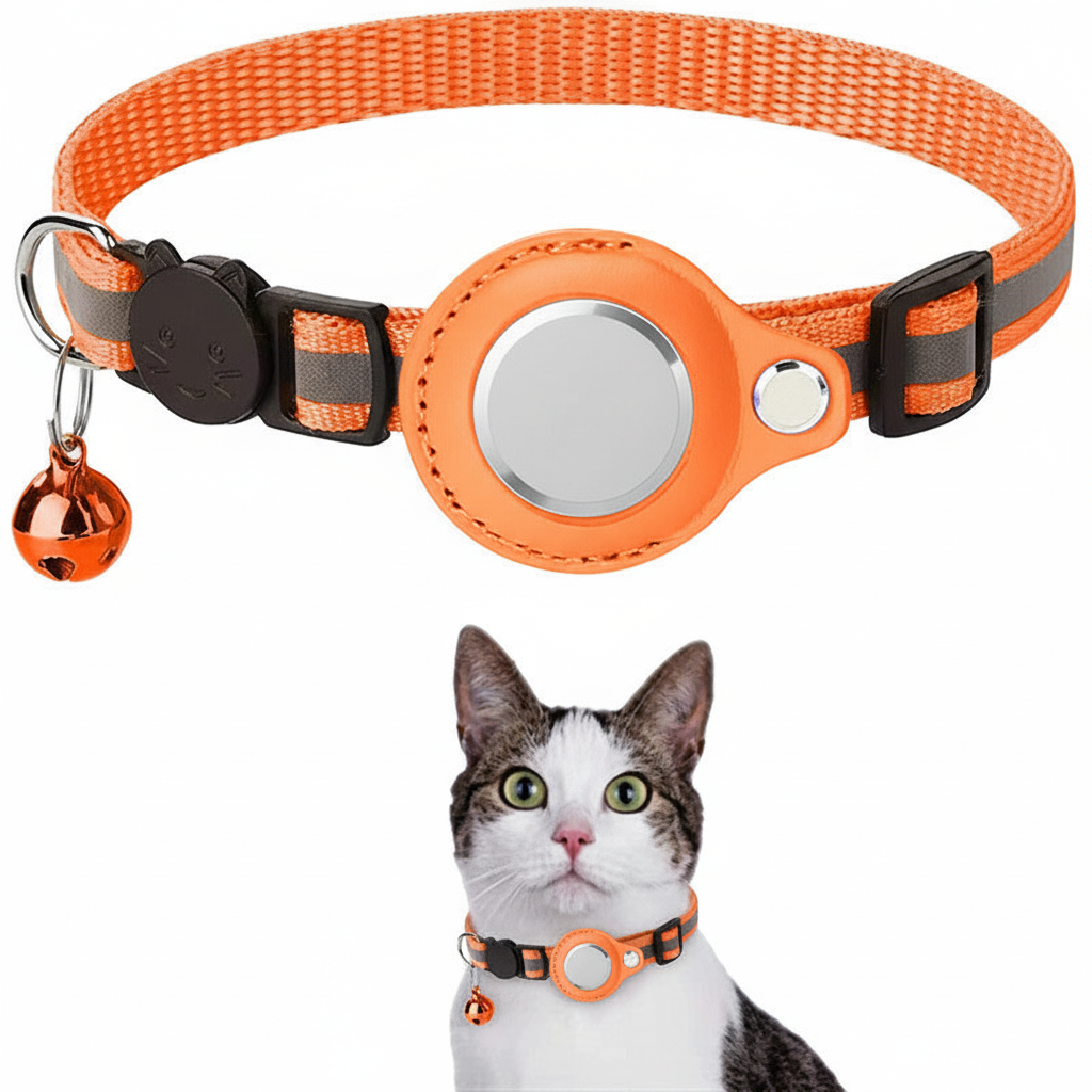 Immagine 4 - senza scritte