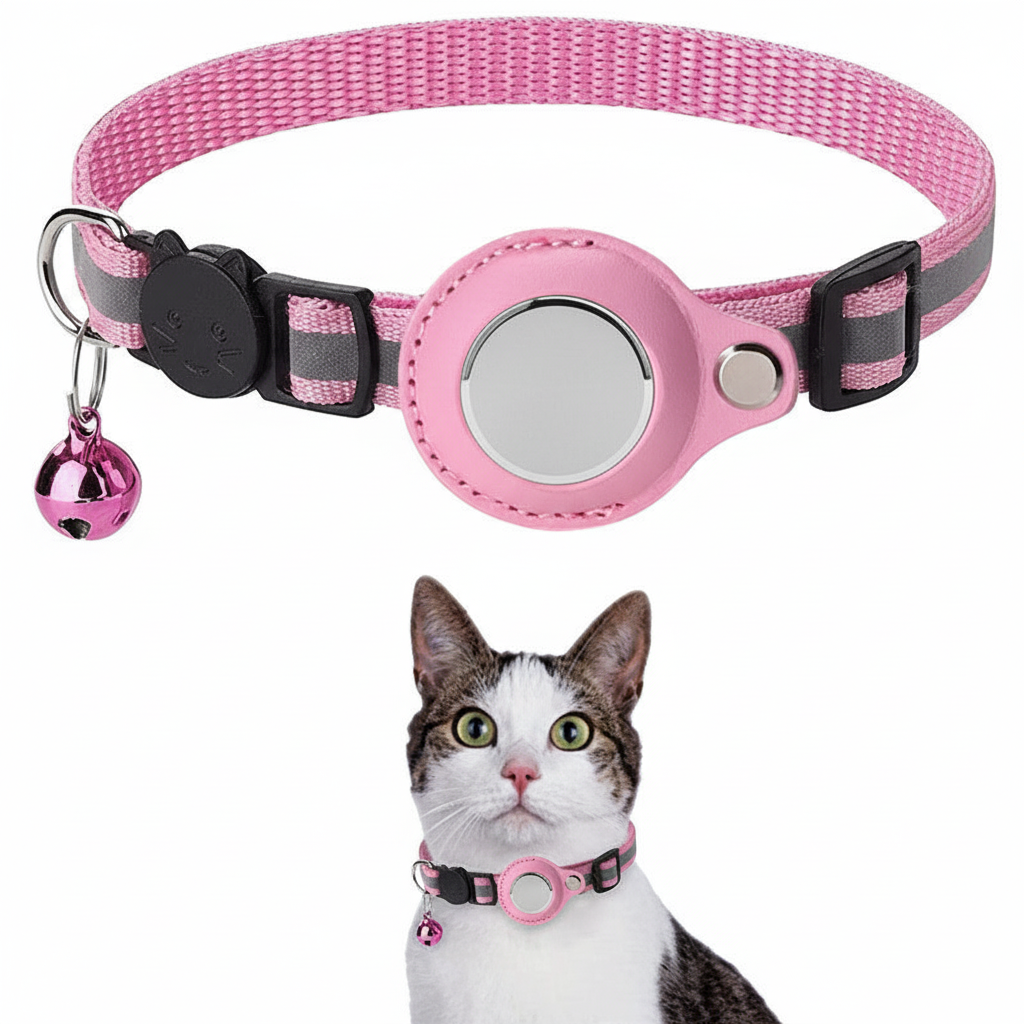 Immagine 5 - senza scritte